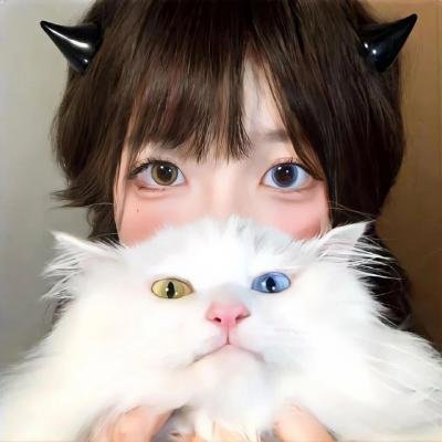 完美伴侣2025